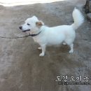 천고농장 이미지