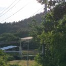 향림동산(흑염소농장) 이미지