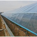 월성 농장 이미지