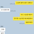 지노애드