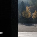 장평해장국