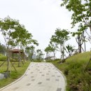 미사한강공원 4호 풋살장