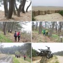 몽산포 해변 이미지