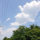 야시골공원 이미지