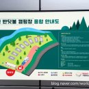 홍천반딧불캠핑장 이미지