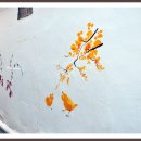 오늘을그리다 - 원주시 능라동길 51 | 오늘을그리다