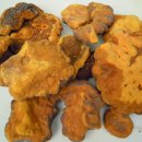 기능성머쉬 이미지