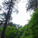 江-오후의 대화 | (부여여행) 부소산성. 우리나라 12번째 유네스코 세계문화유산 백제역사유적지구.(2015년6월28일)