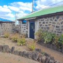 돌담너머바다 | 제주도 독채펜션 감성숙소 돌담너머집 밭담점 후기