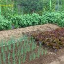 애련농장 이미지