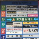 스카이핌