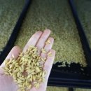 뜨레난농장 | 구매후기, 유정란, 동물복지유정란, 계란이 왔어요~~^^