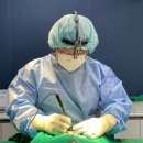 파랑새 동물병원 이미지