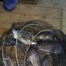 중해레저낚시터 이미지