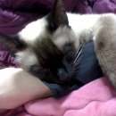 구포1동-7 이미지