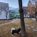 최우식동물병원 이미지