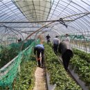 금강농협 이미지