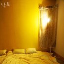 낙토 이미지
