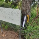 용산-385 이미지