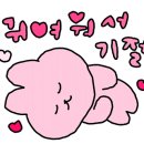 강아지 분양 프러포즈펫 이미지