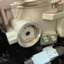 로고스카센타 이미지