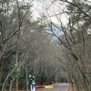 주)영암마트선운점 | [영암]국립공원공단 월출산 천황야영장 A1 사이트 후기