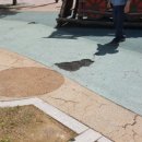 숲속어린이공원 내 이미지