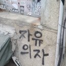 우연히만난하루