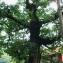 서원탑할인마트 이미지