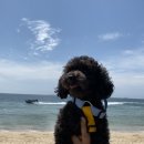 애즈유라이크(As you like) 이미지