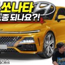 현대자동차에 고소 3번당한 사람이 알려주는 쏘나타 단종썰.gif 이미지