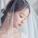 디스튜디오 이미지