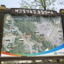 외갓집 가는 길 이미지