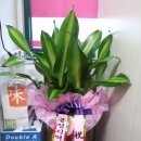 봉정지역아동센터 이미지