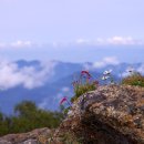 카페1915지리산