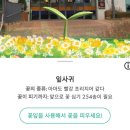 피크민 블룸 각종 팁들 + 한달차 플레이 후기
