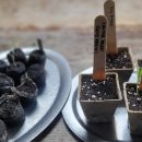 자연생태박물관 이미지