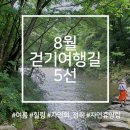여행길 이미지