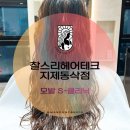 쌍용자동차부여서비스프라자 | 찰스리헤어테크 지제동삭점 모발 S-클리닉 후기 (우현 부원장님)(주차정보)