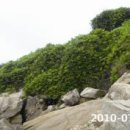 수수떼기