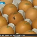 윤정희농장 이미지