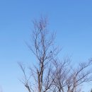 안성맞춤랜드공원3 이미지