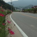 간척1리 이미지