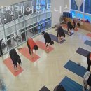 바디핏케어 휘트니스 이미지