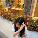 매일이 즐거운 사람 나야나