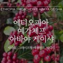 알트로