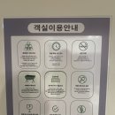더스테이 골드독 | [태안 애견동반펜션]안면도 애견동반펜션, 애견동반 바베큐+수영장, 더스테이골드독
