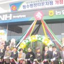 천안농업협동조합 행정지점 이미지