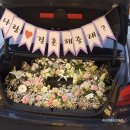 아로마프로포즈