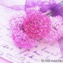 축복공인중개사사무소 이미지